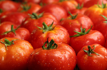 Background of group fresh ripe organic tomatoes