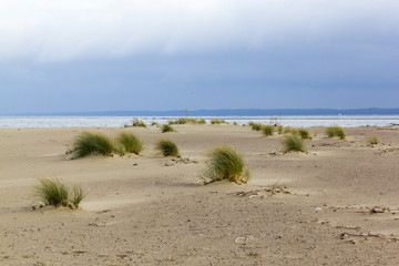 Landscape near the mouth of the Vistula River to the Baltic Sea, Poland