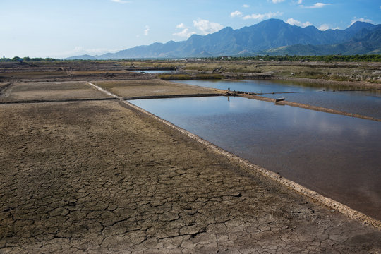 global warming,cracked ground view with horizon line,preparation of fields for rice crops,Bali,Indonesia