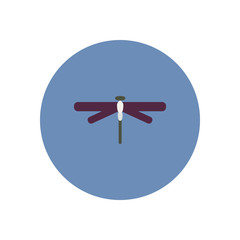 stylish icon in color circle dragonfly insect 