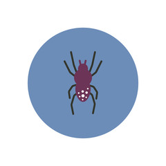 stylish icon in color circle spider insect 