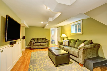 Living room interior in green tones, hardwood floor and rug.