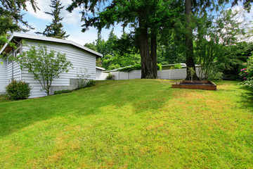 Backyard well kept lawn, nicely trimmed grass and bushes