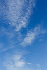 Fototapeta na wymiar clear blue sky