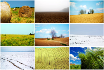 agriculture fields 