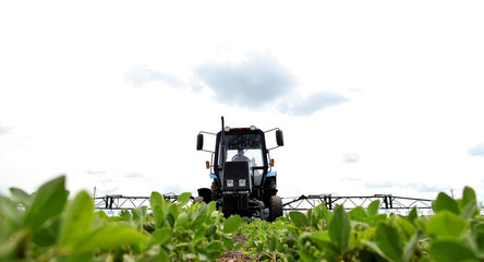 An innovative method of growing grain wheat, soybeans, corn. Han