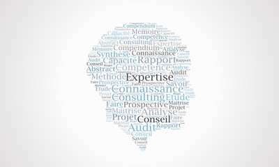 Nuage de mots Expertise