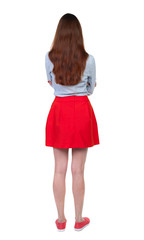 back view of standing young beautiful  woman.  girl  watching. Rear view people collection.  backside view of person.Long-haired brunette in red skirt standing with his arms crossed.  