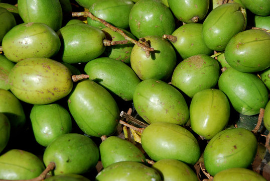 evis fruit La Réunion Stock Photo | Adobe Stock