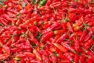 espèce de piment 