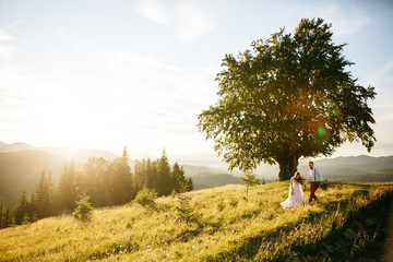 Evening sun shines over the stylish wedding couple walking aroun