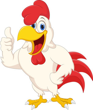 Cartoon chicken for you design