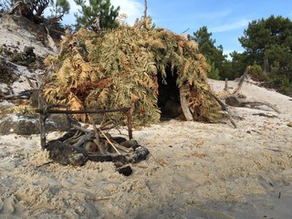 House of ferns on the sand.