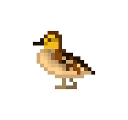 Pixel art duckling. Baby duck standing on the ground.