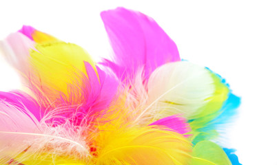 Obraz na płótnie Canvas multicolored feathers isolated on white