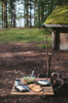 picnic in the woods. kebab, salad and berries
