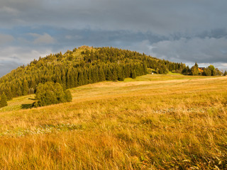 Green forested conical hill at sunset time in Jizera Mountains, Jizerka village and Bukovec Mountain, Czech Republic