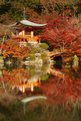 Fototapeta premium Autumn colours at Daigo-ji Temple in Kyoto, Japan