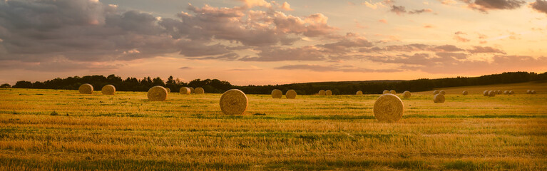 Landschap in de zomer, geoogst korenveld, panorama