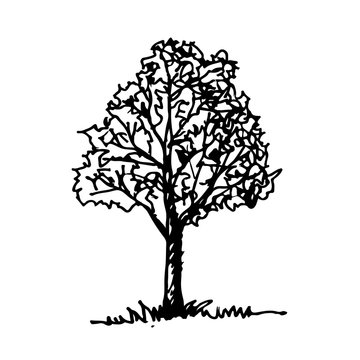 Doodle tree icon hand draw illustration design