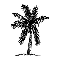 doodle coconut tree icon hand draw illustration design