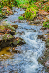 Natürlicher Bachlauf im Wald mit quellfrischem Wasser - Natural Forest Creek with fresh spring water