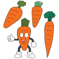 vector set of carrot
