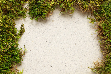 Moss on paper background