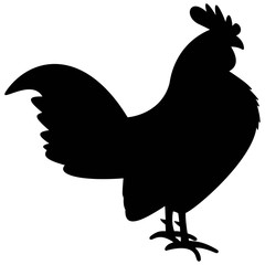 Rooster Illustration 
