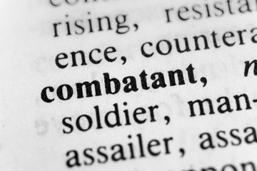 Obraz premium Combatant