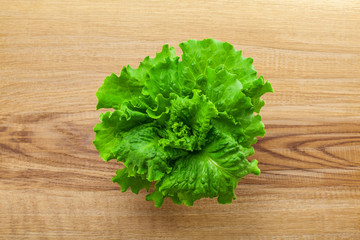 Fresh lettuce. Healthy vegetarian food on a table. Abstract concept. Top view, close-up.