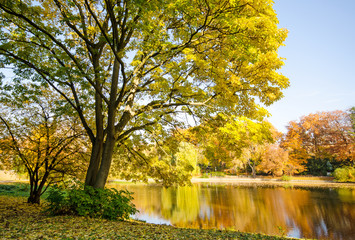 Happiness and relaxation in autumn: Wonderful day at a silent, sunny lake :) 