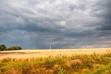 Storm clouds over the field of golden wheat