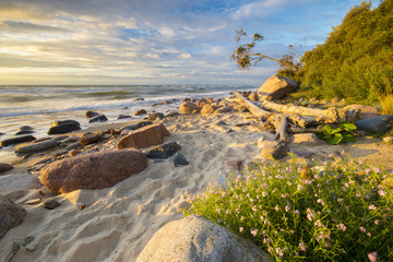 Sea landscape at sunset, sandy beach and cliff,waves breaking on the shore

