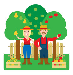 farmers man and woman picking harvest apples and pears