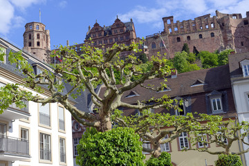 Fototapeta na wymiar View from Old Town of the ruins of Heidelberg Castle in Baden-Wurttemberg, Germany
