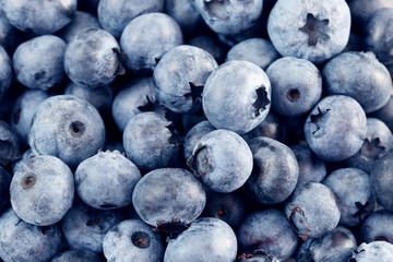 Freshly picked blueberries