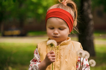 little girl in the park with dandelion