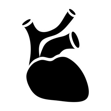 Human heart icon in simple style on a white background
