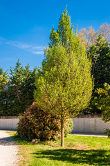 Aire de promenade et plan d'eau.