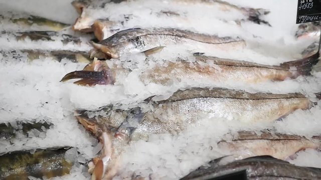 the fish is fresh-frozen in ice