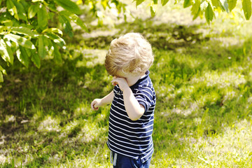 Beautiful child on the walk. Child outdoors. summer vacation. Little boy rubs his eyes on the nature
