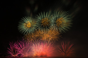 a colourful of firework in black background,black