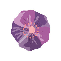 flat design delicate flower icon vector illustration