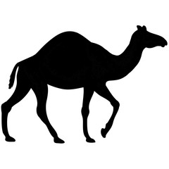 camel or dromedary silhouette
