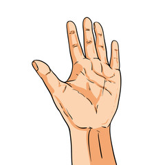 Vector hand. Fingers showing five. Illustration in comic style