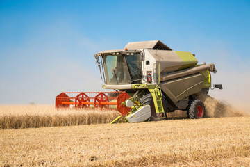 Combine Harvester at work on the field of wheat.