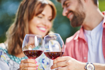 Couple raising a toast