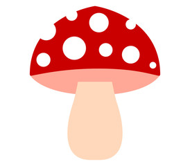 mushroom © mark1987