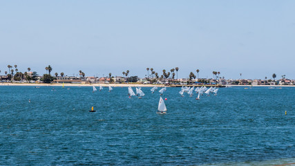 Fototapeta na wymiar sailboats regatta in a beautiful bay at sunny day